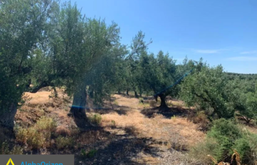 Αγροτεμάχιο 16300 τ.μ., Κέντρο, Ανδρούσα, €60.000