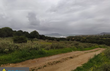Οικόπεδο 4000 τ.μ., Πετροχώρι, Νέστορας, € 500.000