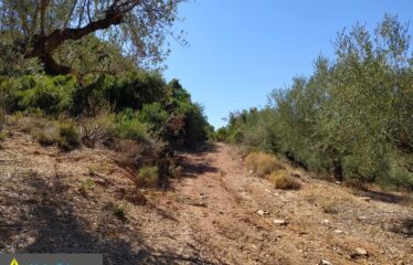 αγρόκτημα στο Νερόμυλο 6,5στρμ