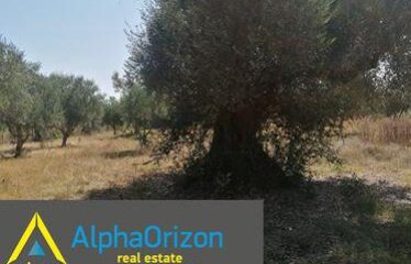 οικόπεδο 3,5 στρ στην Ανάληψη 35.000 €