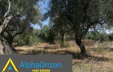 οικόπεδο 3,5 στρ στην Ανάληψη 35.000 €