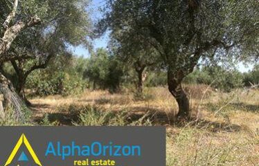 οικόπεδο 3,5 στρ στην Ανάληψη 35.000 €