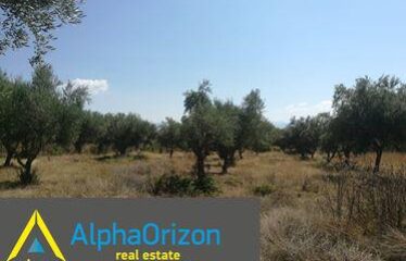 οικόπεδο 3,5 στρ στην Ανάληψη 35.000 €