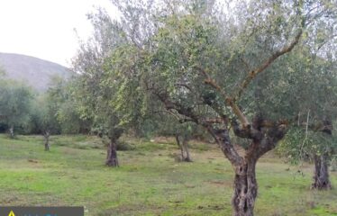10 στρμ στα Πετράλωνα Ιθώμης