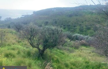 κρυονερι 9,8στρ