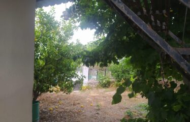 Μαιζονέτα Αγιαννάκης