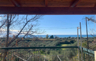 Μαιζονέτα Αγιαννάκης