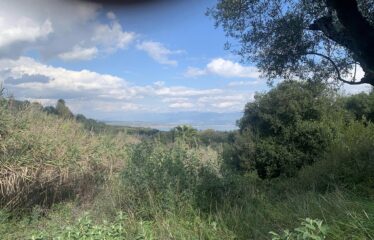 Αγροτεμάχιο Πεταλίδι