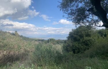 Αγροτεμάχιο Πεταλίδι