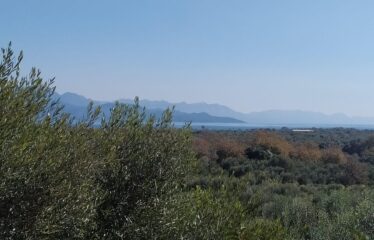 Μονοκατοικία-βίλα