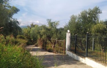 ΟΙΚΟΠΕΔΟ ΑΝΑΛΗΨΗ