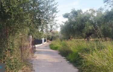 ΟΙΚΟΠΕΔΟ ΑΝΑΛΗΨΗ