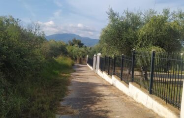 ΟΙΚΟΠΕΔΟ ΑΝΑΛΗΨΗ