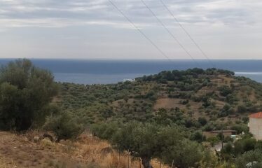 Οικόπεδο Βασιλίτσι