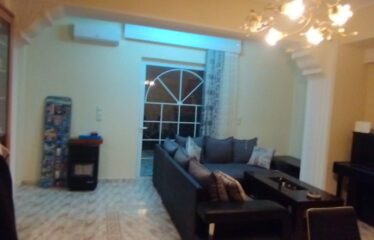 ΕΝΟΙΚΙΑΖΕΤΑΙ ΙΣΟΓΕΙΟ ΔΙΑΜΕΡΙΣΜΑ ΣΤΗ ΜΕΣΣΗΝΗ