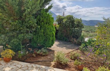 Μαιζονέτα στα Ρίγκλια