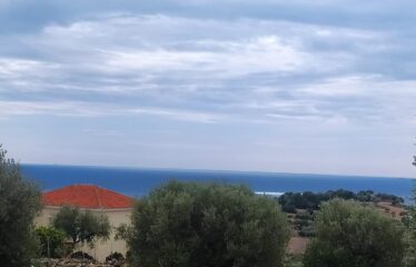 Οικόπεδο Βασιλίτσι