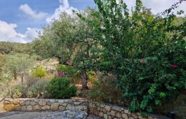 Μαιζονέτα στα Ρίγκλια