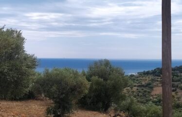 Οικόπεδο Βασιλίτσι