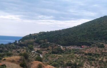 Οικόπεδο Βασιλίτσι