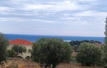 Οικόπεδο Βασιλίτσι