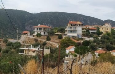 Οικόπεδο Βασιλίτσι