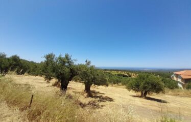 ΟΙΚΟΠΕΔΑ ΧΑΝΔΡΙΝΟΥ