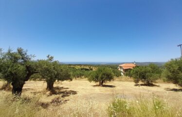 ΟΙΚΟΠΕΔΑ ΧΑΝΔΡΙΝΟΥ