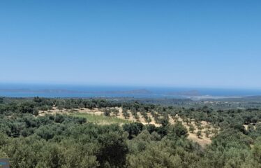 ΟΙΚΟΠΕΔΑ ΧΑΝΔΡΙΝΟΥ