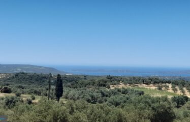 ΟΙΚΟΠΕΔΑ ΧΑΝΔΡΙΝΟΥ