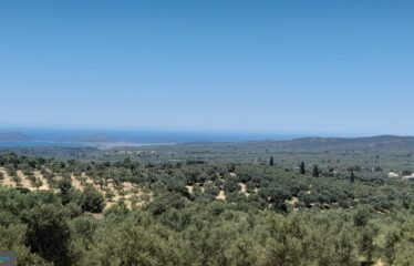 ΟΙΚΟΠΕΔΑ ΧΑΝΔΡΙΝΟΥ