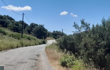 ΟΙΚΟΠΕΔΑ ΧΑΝΔΡΙΝΟΥ