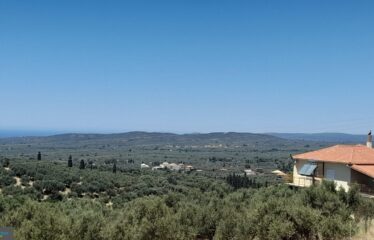 ΟΙΚΟΠΕΔΑ ΧΑΝΔΡΙΝΟΥ