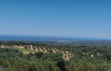 ΟΙΚΟΠΕΔΑ ΧΑΝΔΡΙΝΟΥ