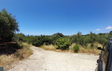 ΟΙΚΟΠΕΔΑ ΧΑΝΔΡΙΝΟΥ