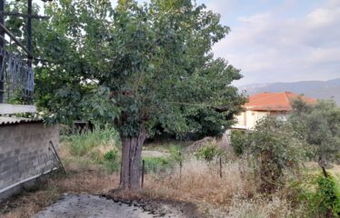 Βαλύρα μονοκατοικία