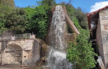 ΕΠΑΓΓΕΛΜΑΤΙΚΟ ΚΤΗΡΙΟ ΑΡΤΙΚΙ ΤΡΙΦΥΛΛΙΑΣ