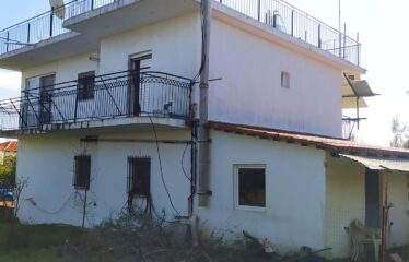 ΜΟΝΟΚΑΤΟΙΚΙΑ ΜΟΣΧΟΧΩΡΙ