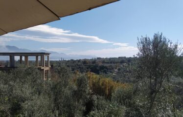 ΜΟΝΟΚΑΤΟΙΚΙΑ ΜΟΣΧΟΧΩΡΙ