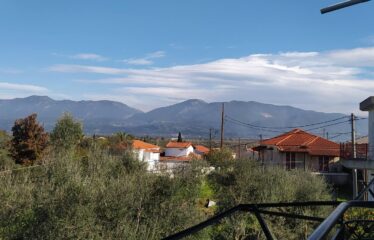 ΜΟΝΟΚΑΤΟΙΚΙΑ ΜΟΣΧΟΧΩΡΙ