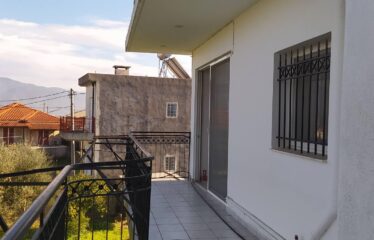 ΜΟΝΟΚΑΤΟΙΚΙΑ ΜΟΣΧΟΧΩΡΙ