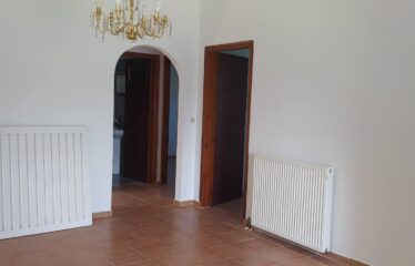 ΜΟΝΟΚΑΤΟΙΚΙΑ ΜΟΣΧΟΧΩΡΙ