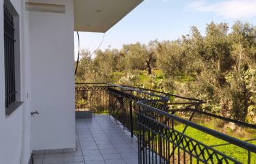 ΜΟΝΟΚΑΤΟΙΚΙΑ ΜΟΣΧΟΧΩΡΙ