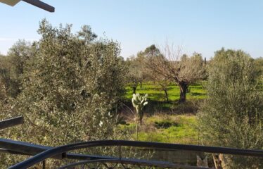 ΜΟΝΟΚΑΤΟΙΚΙΑ ΜΟΣΧΟΧΩΡΙ