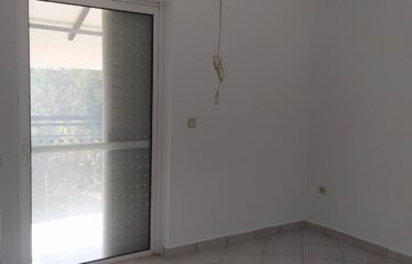 ΜΟΝΟΚΑΤΟΙΚΙΑ ΜΟΣΧΟΧΩΡΙ