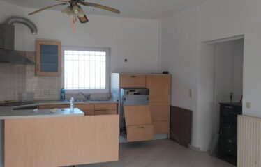 ΜΟΝΟΚΑΤΟΙΚΙΑ ΜΟΣΧΟΧΩΡΙ