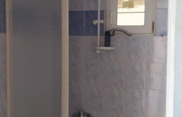 ΜΟΝΟΚΑΤΟΙΚΙΑ ΜΟΣΧΟΧΩΡΙ