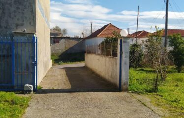 ΜΟΝΟΚΑΤΟΙΚΙΑ ΜΟΣΧΟΧΩΡΙ