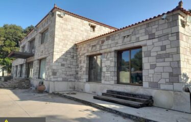 ΕΠΑΓΓΕΛΜΑΤΙΚΟ ΚΤΗΡΙΟ ΑΡΤΙΚΙ ΤΡΙΦΥΛΛΙΑΣ