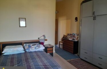 ΜΑΙΖΟΝΕΤΑ ΚΑΛΑΜΑΤΑ